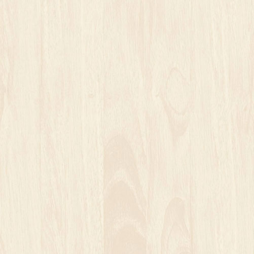 Nano Vitrified Tiles